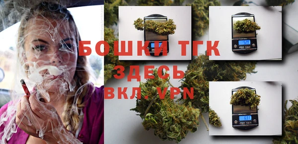 мдпв Новодвинск