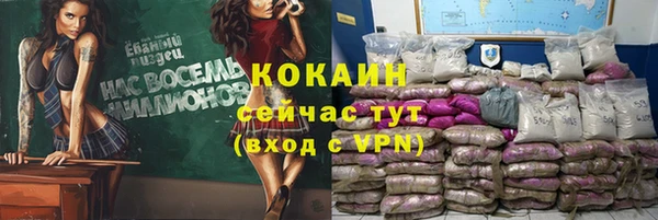 дживик Новозыбков