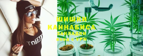 дживик Новозыбков