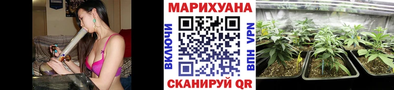 Бошки марихуана VHQ  где найти   Кемь 